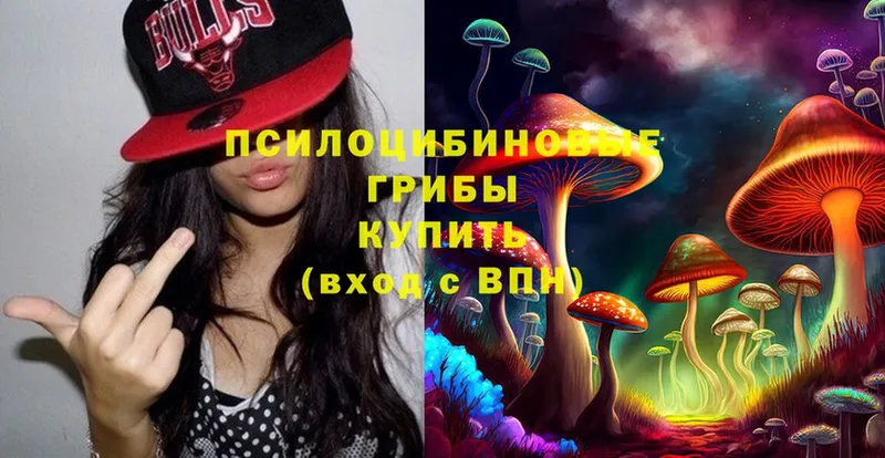 Псилоцибиновые грибы Psilocybine cubensis  Полевской 